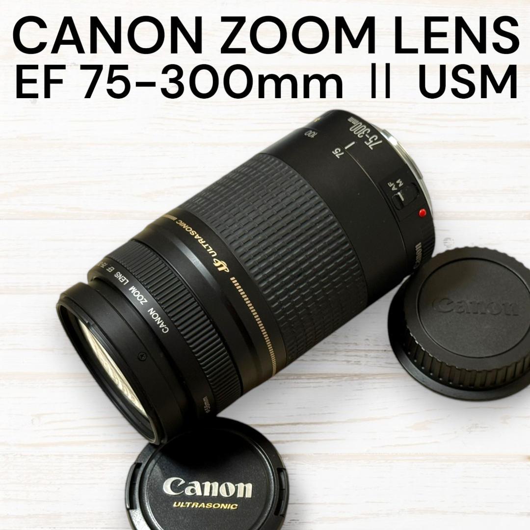 Canon ズームレンズ EF 75-300mm II USM Amazon.com : Canon EF 75-300mm f/4-5.6 III Telephoto Zoom Lens for