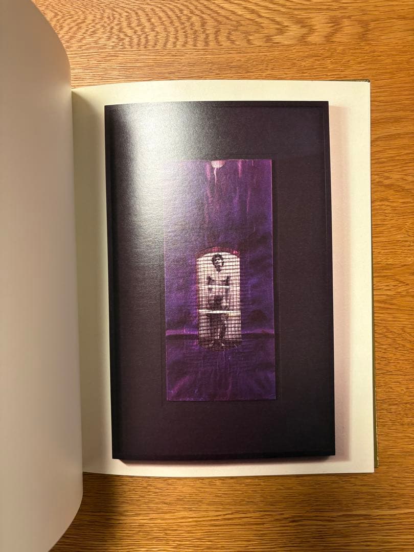 ROBERT MAPPLETHORPE EARLYWORKS - メルカリ