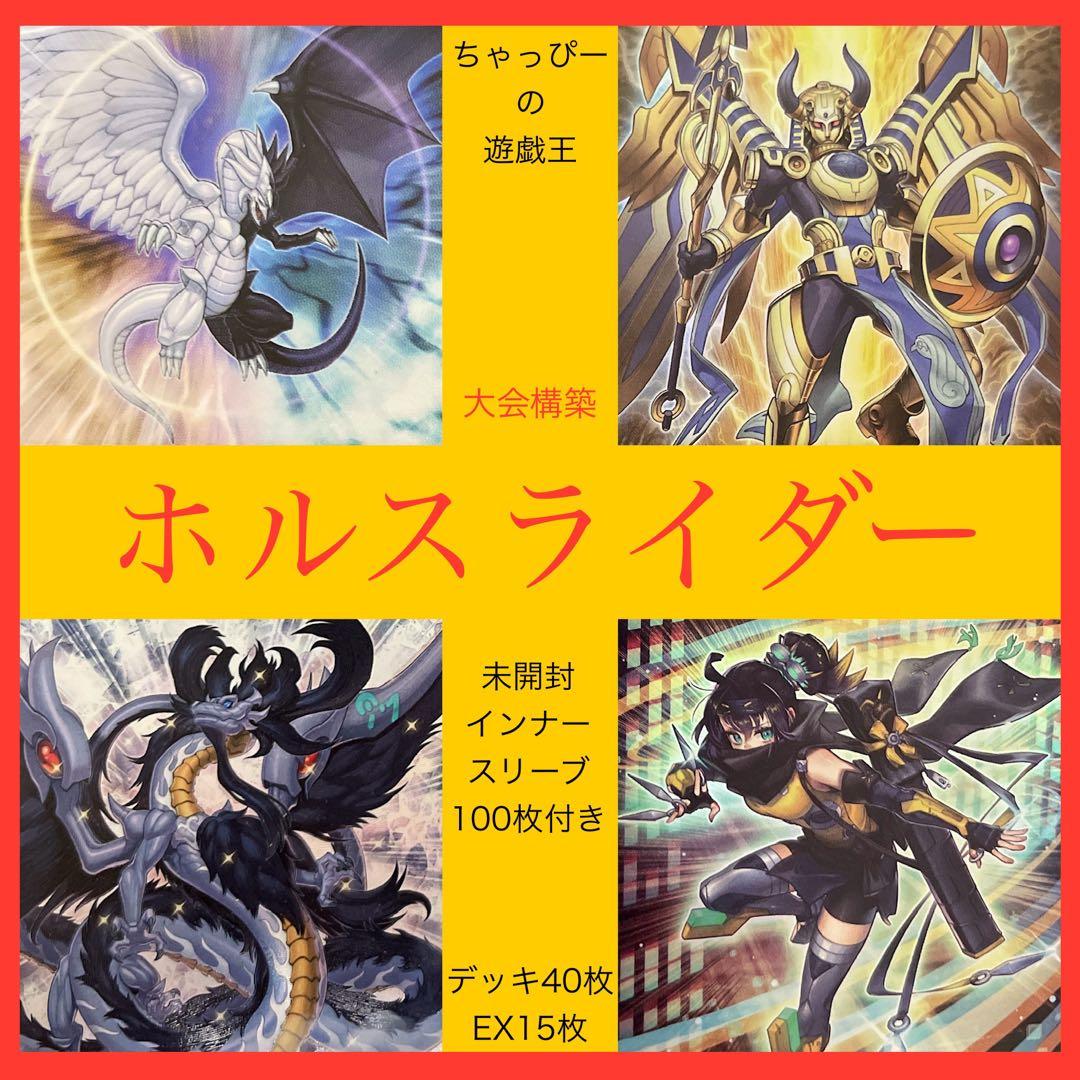 遊戯王 本格構築済みデッキ ホルス ライダー デッキ55枚 光と闇の竜