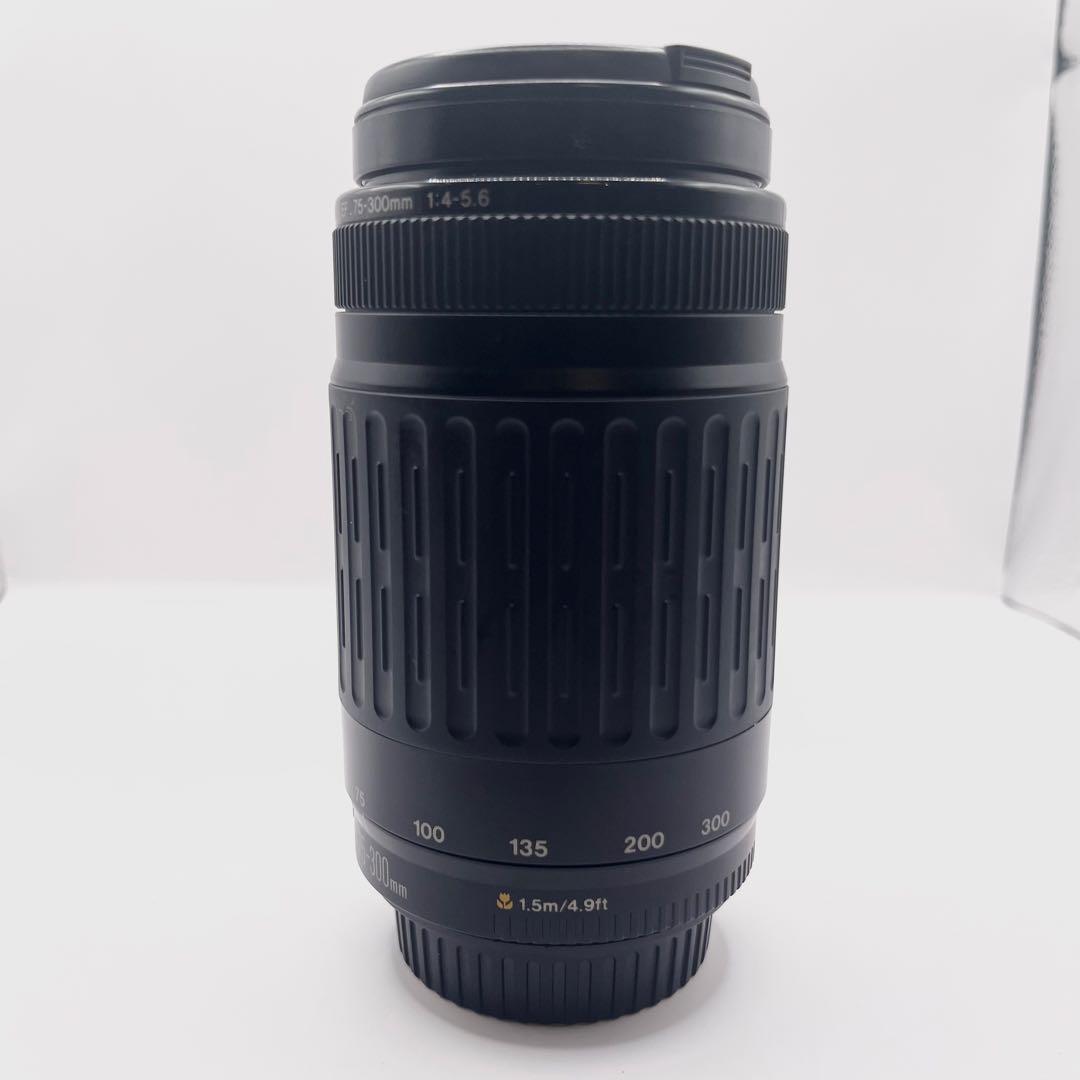 【美品】超望遠レンズ CANON EF 75-300mm F1:4-5.6