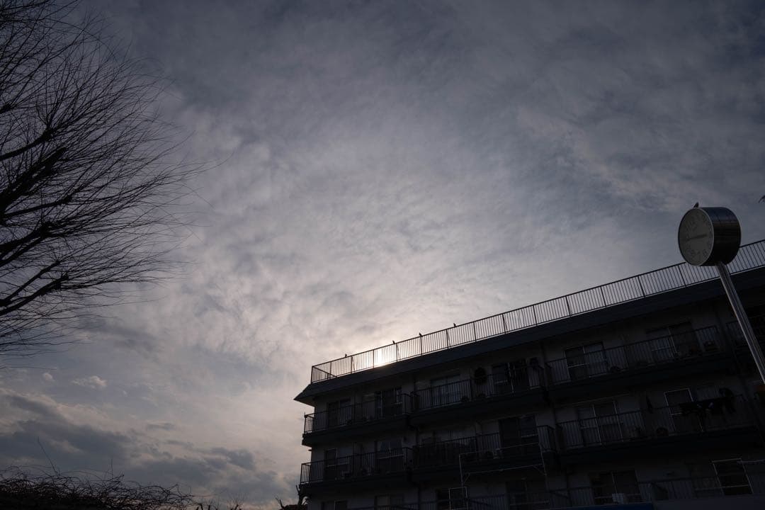 【美品】NIKKOR Z 24-50mm f/4-6.3【純正フード付き】