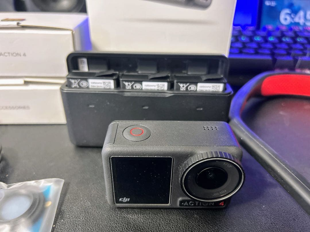 美品 掛け軸 河野美峰作 桜に小禽図 共箱 太巻き付 美術年鑑掲載作家