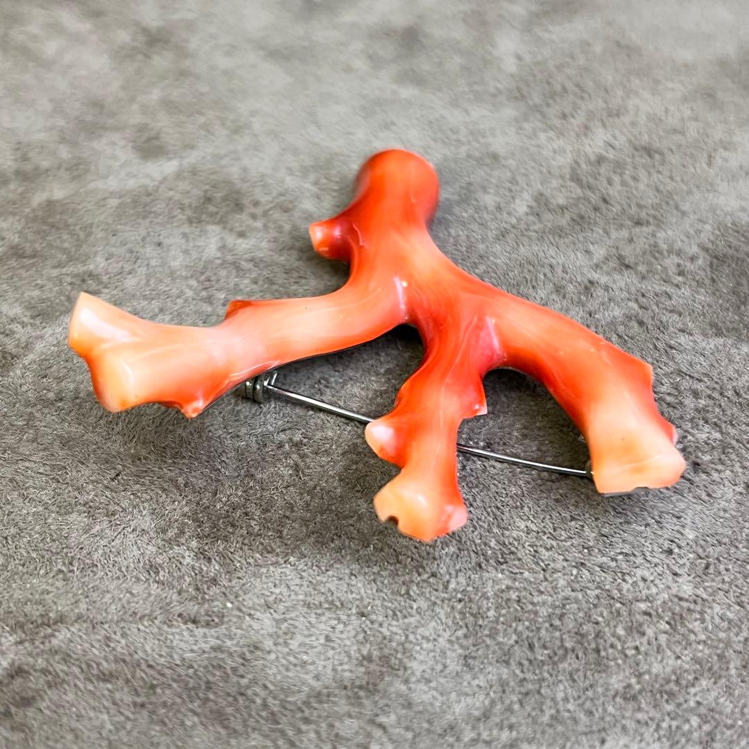 本珊瑚 珊瑚 枝珊瑚 さんご ブローチ 高知 総重量 12.7g