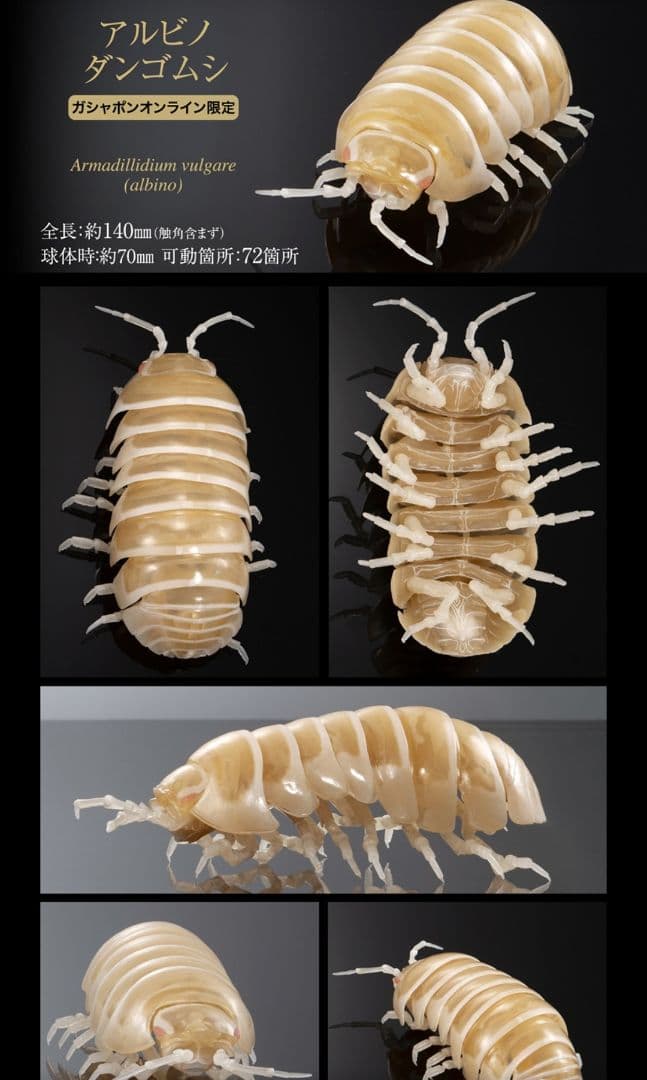 オンライン限定 いきもの大図鑑 ダンゴムシ（重塗装版） 全3種 コンプ