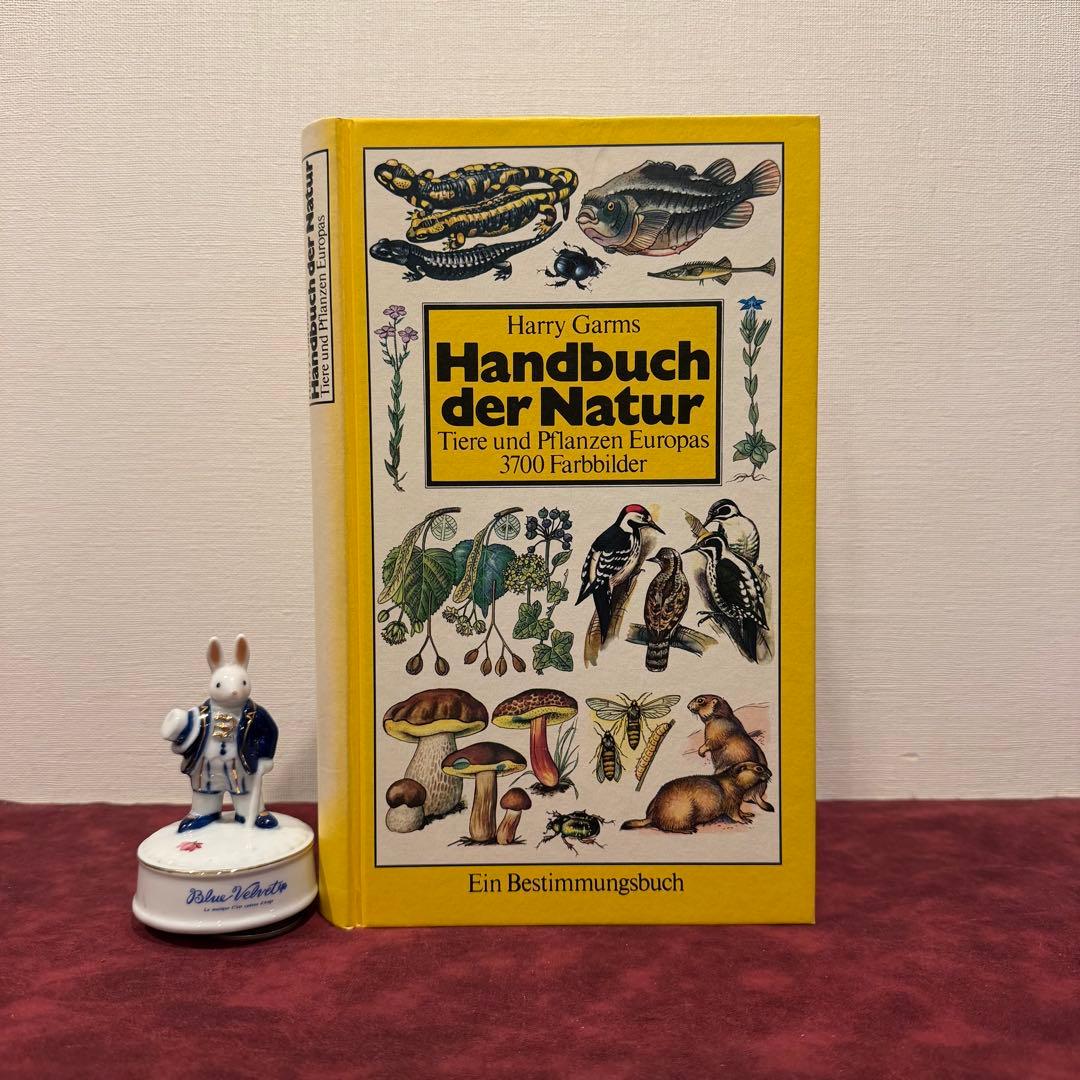 224⑧1982年ドイツ語図鑑 洋書古書 ジャンクジャーナル ボタンニカル