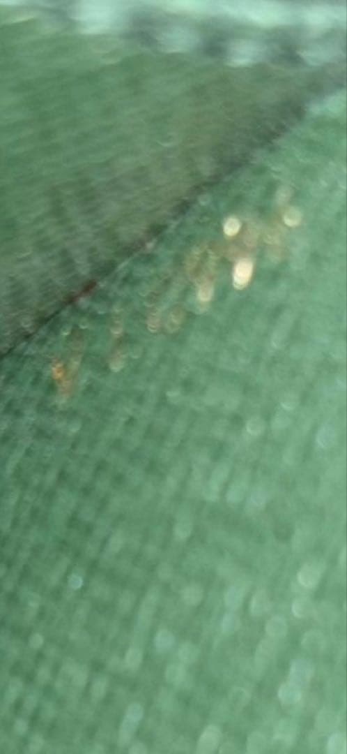 極美品 LOUIS VUITTON ルイヴィトン M30074 鍵付き エピセア - メルカリ