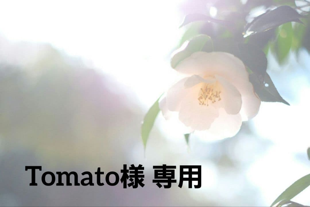 コラージュ素材 大容量 まとめ売り Amazon.co.jp: 400枚セット コラージュ 素材 コラージュペーパー