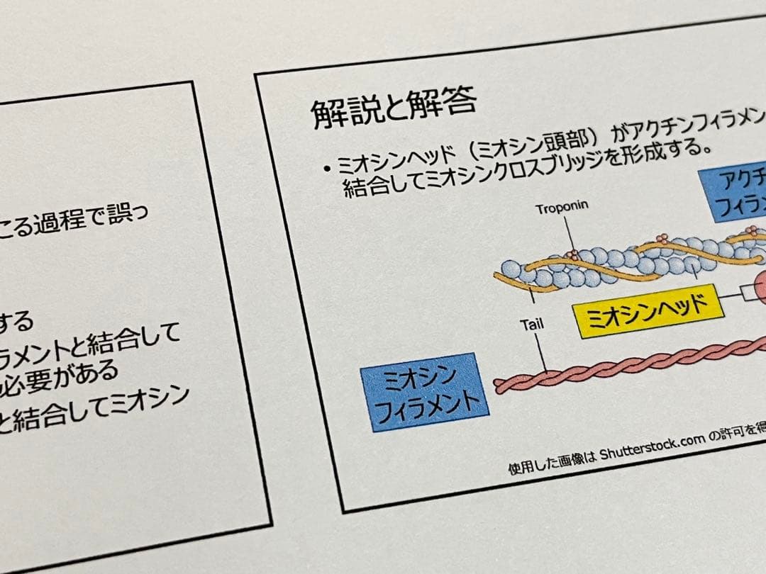 2026年版】CSCS試験対策問題集（600問）オールカラー - メルカリ