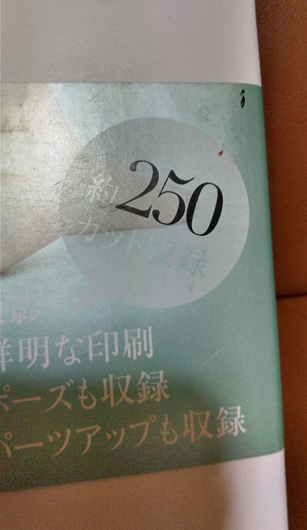 ◎グラマー裸婦ポーズBOOK Vol.②③　ワイレア出版