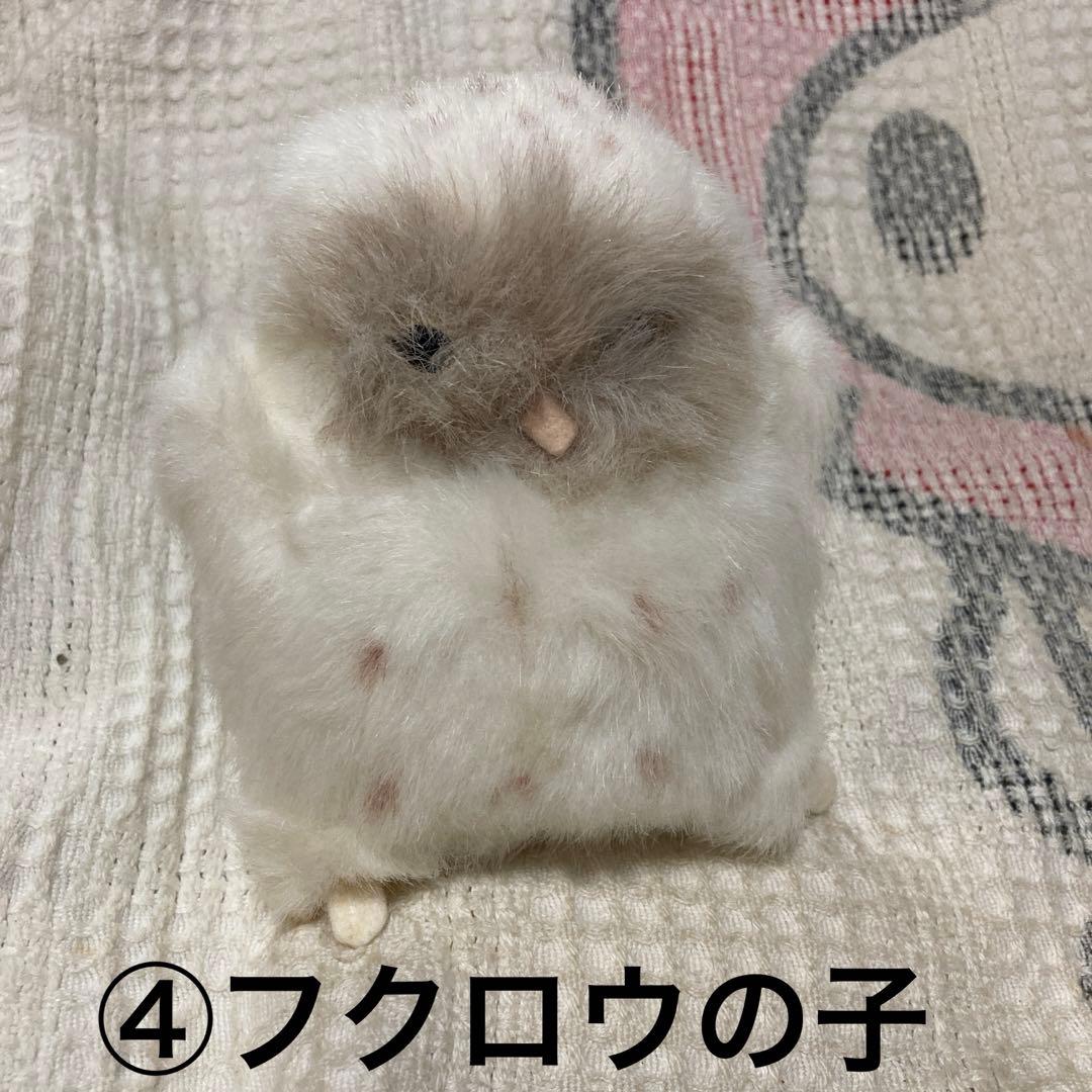 やまね工房 ぬいぐるみ 落合けいこ 6こセット 中古品 コノハズク他