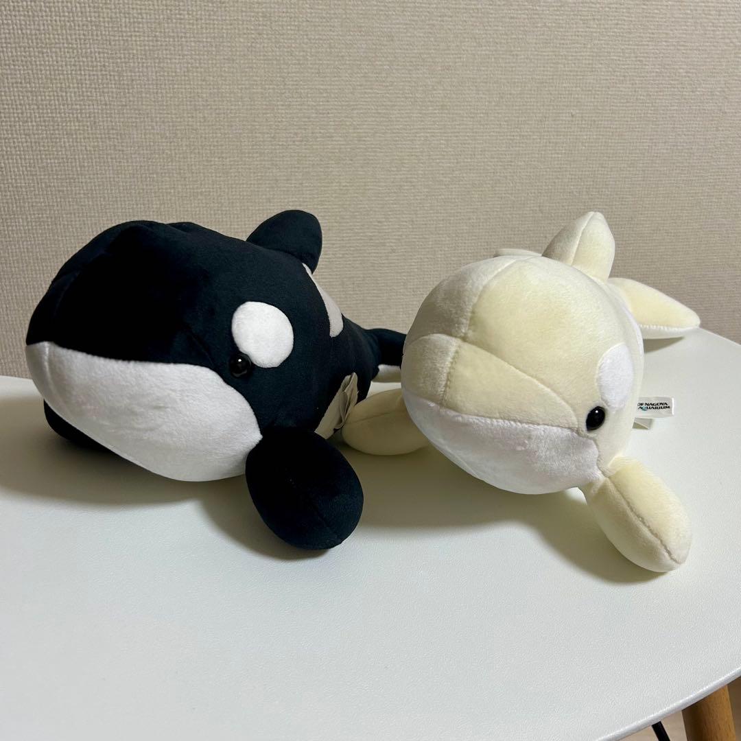 限定】名古屋港水族館 シャチくじ 3等 ホワイト アルビノ - メルカリ