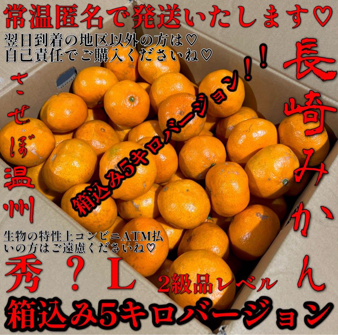 甘くて♡美味しい❤️長崎みかん❤️させぼ温州❤️2級品レベル❤️ L