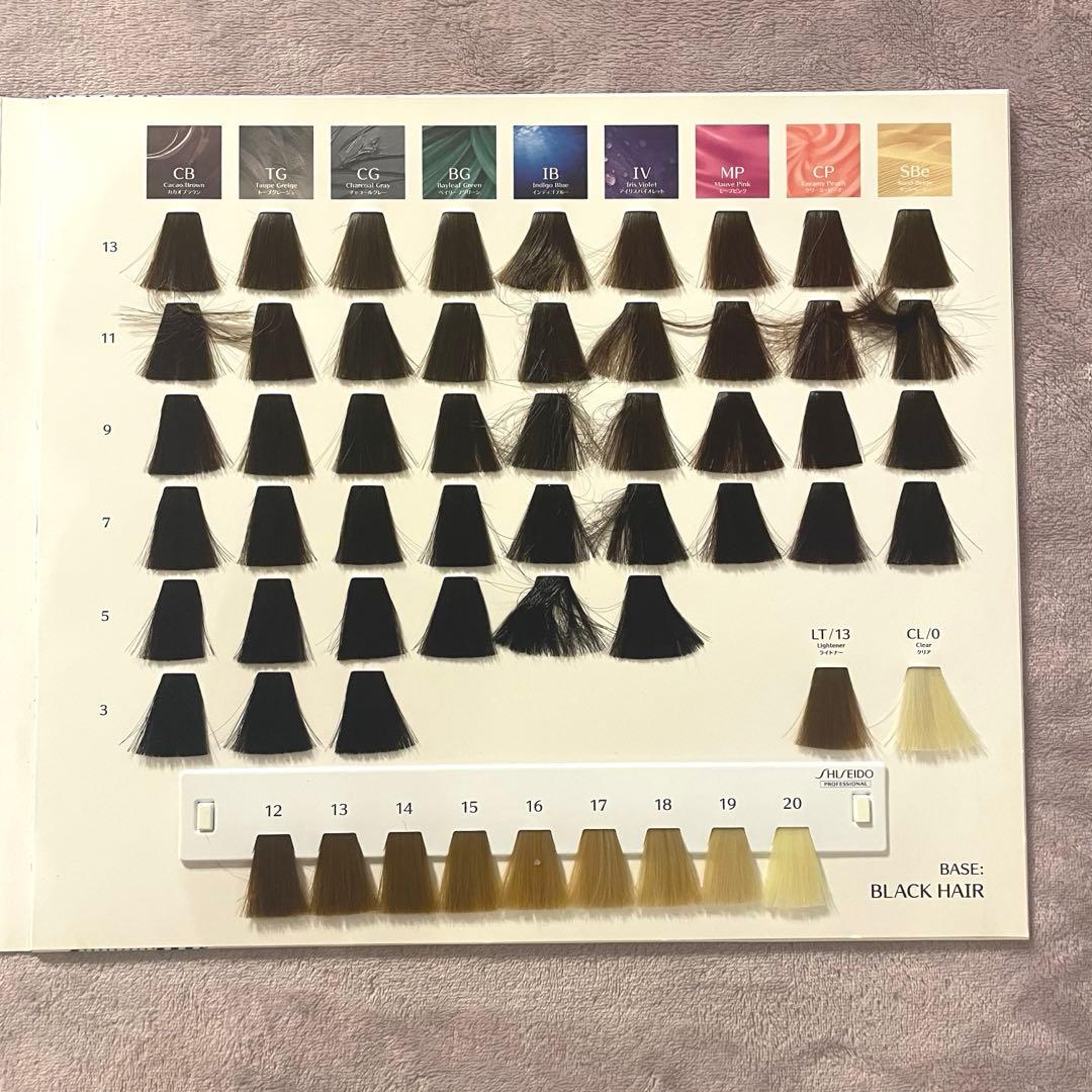 資生堂 ULTIST アルティスト カラーチャート - メルカリ