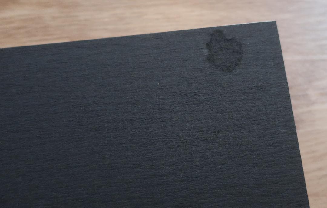 特別オリジナル版　越後瞽女日記　斎藤真一　エッチング入り