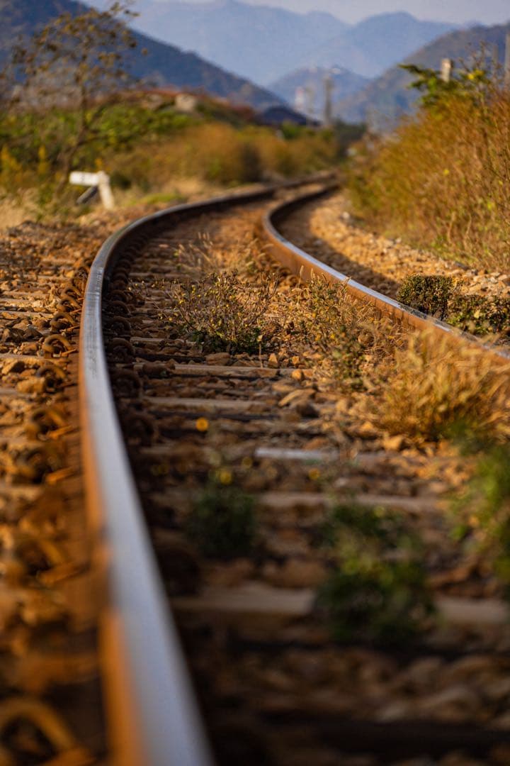 〈作例有〉Tamron 70-300mm F4.5-6.3