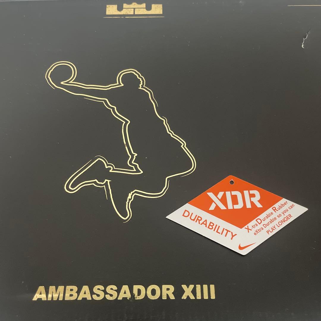 ZOOM AMBASSADOR 13【26.5cm】(US8.5)