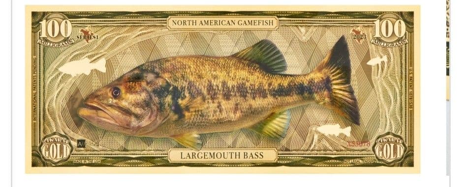 ヤタガラス☆☆純金ノート(１００mg４枚＋１５mg５枚＋３１mg３枚)☆☆ 大図解 新NISA対応版 お金のしくみ見るだけノート | 伊藤 亮太 |本