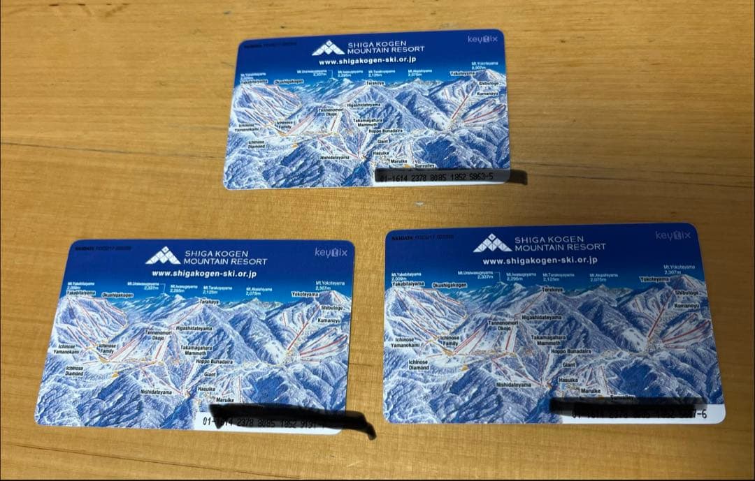 志賀高原　焼額山　エリア　1日券　やけび　リフト券 志賀高原 焼額山エリア リフト券 50%割引 - メルカリ