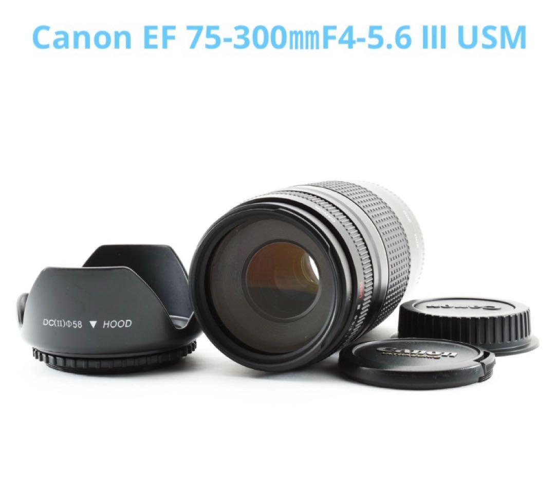 Canon EF 75-300mm F4-5.6 Ⅲ USMズームレンズ EF75-300mm f/4-5.6 III USM - Canon Camera Museum