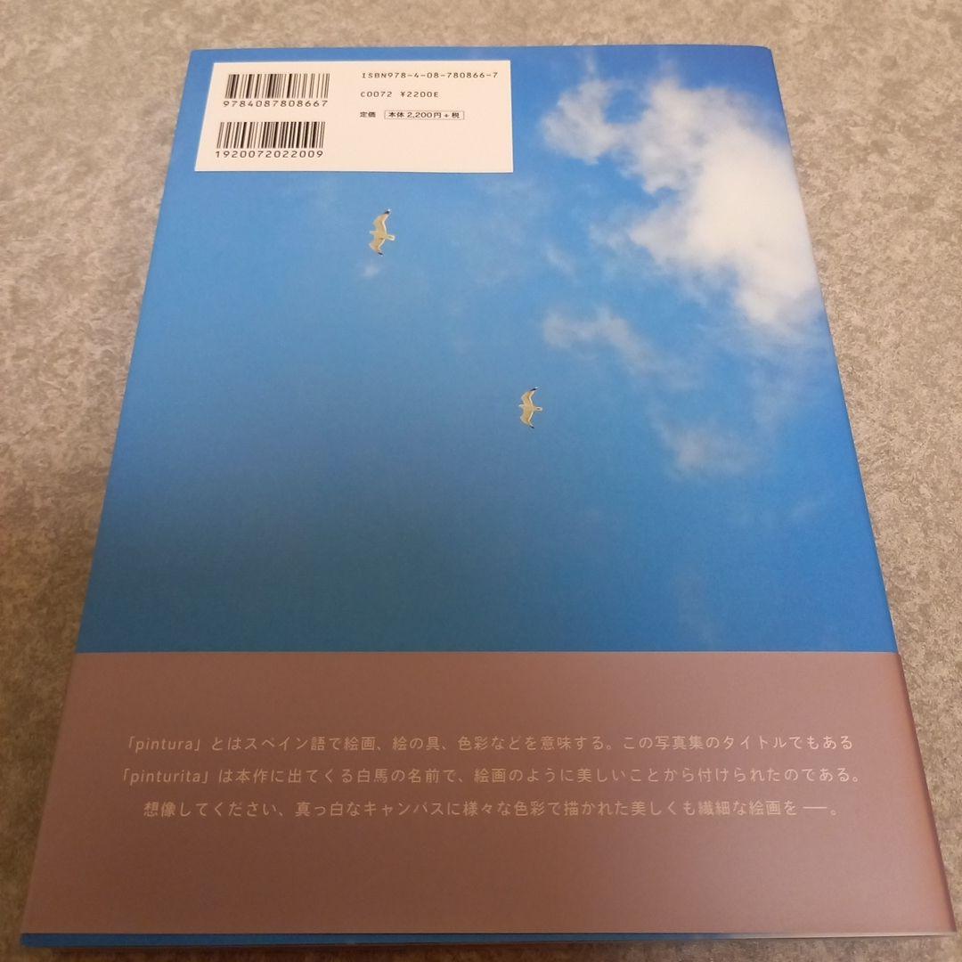 【値下げ交渉⭕】【池田エライザ直筆サイン】ファースト写真集 特典生写真付き