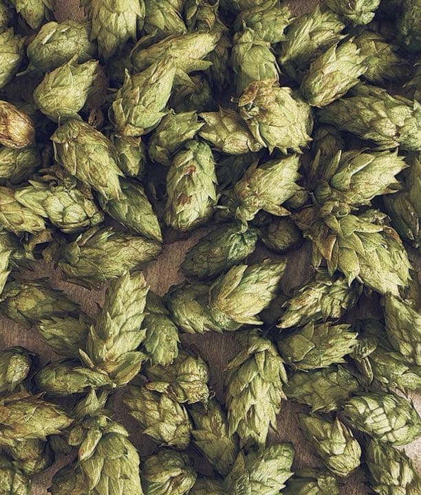 Daichi Miura コネクティングバスソルト G103569367 - 入浴剤・バス