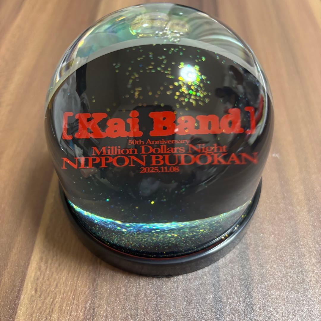 甲斐バンド 武道館ライブ VIP 特典 スノードーム - メルカリ