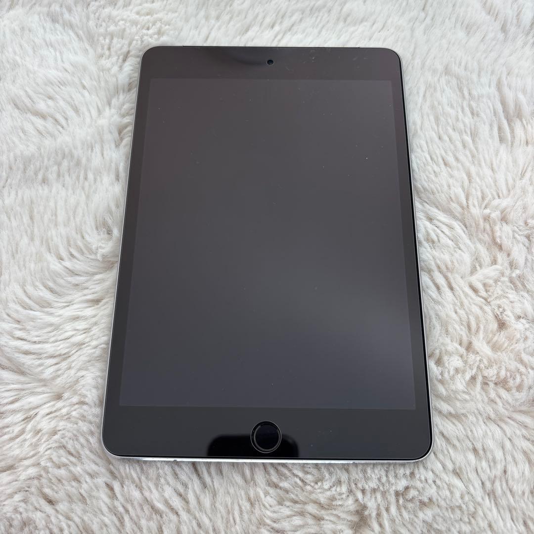 よし 專用 Apple iPad mini4 128GB スペースグレー Apple iPad Mini 4, Wi-Fi, 128GB, Space Gray, Refurbished, 8MP