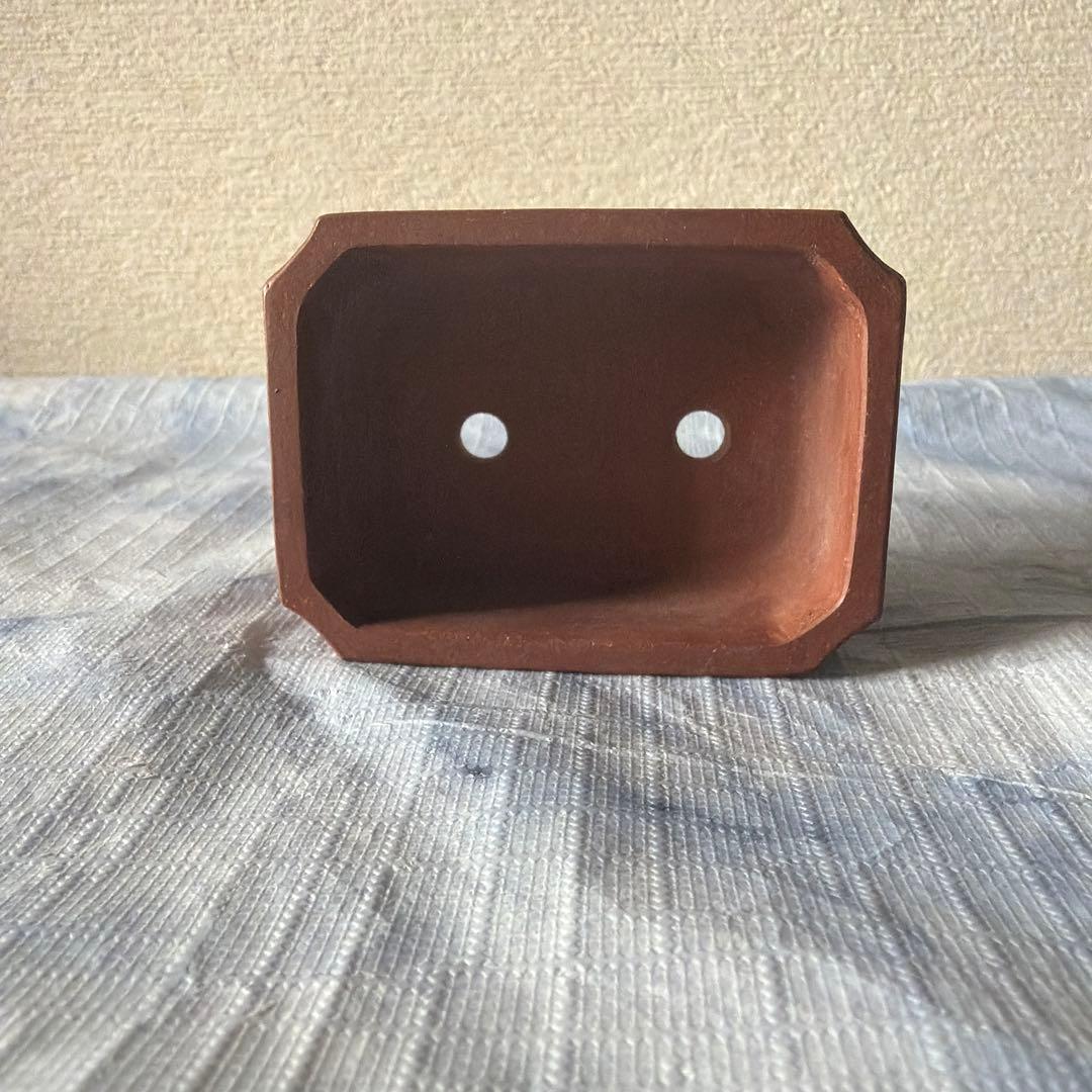 中国宜興 植木鉢 朱泥 中国 China 盆栽