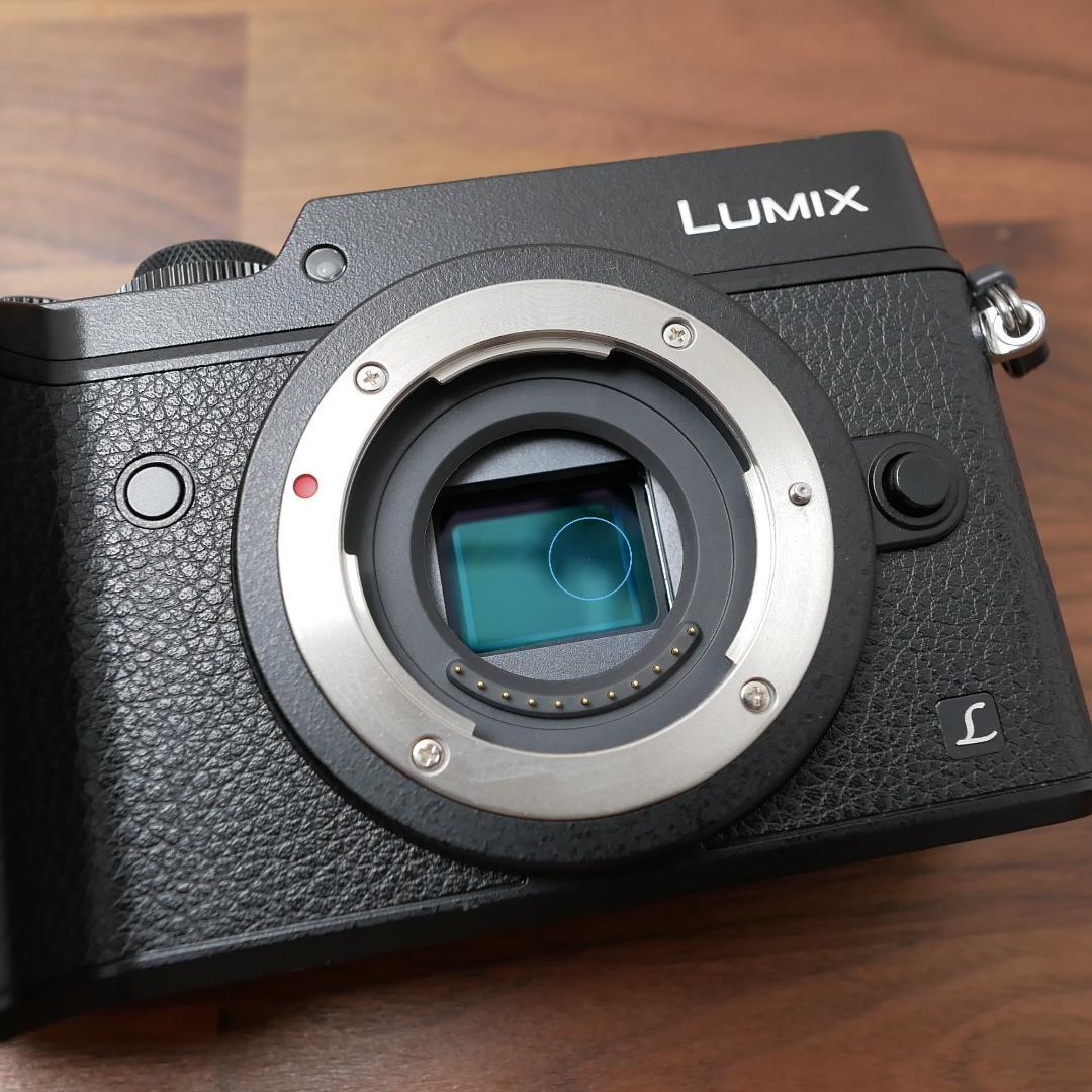 ショット数3000回【Panasonic LUMIX GX8】ボディ 名機 4K