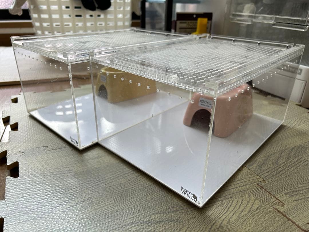 レプタイルボックスまとめ売り レプタイルボックス ハーフ | ワイルドスカイ通販