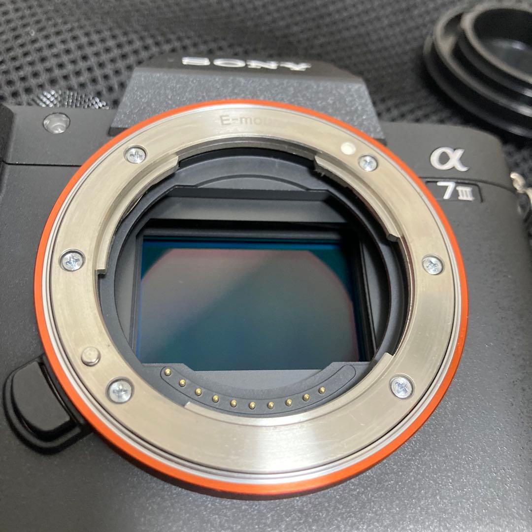 ソニー Sony α7Ⅲ ミラーレス 一眼レフ キタムラ保証付き - メルカリ