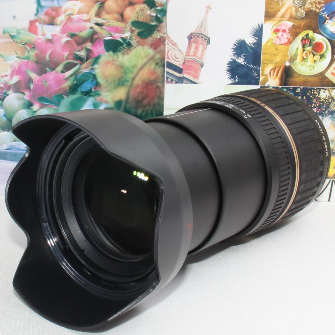 ❤️これ一本で近遠対応❤️TAMRON 18-270mm Canon用❤️