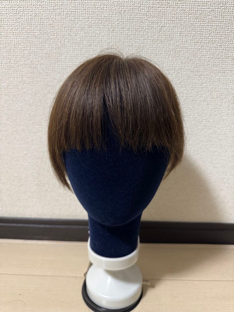 リス【美品】レディースアートネイチャー　 フィーリン　フルオーダーメイド レディースアートネイチャー初！ピンでとめないウィッグ〜 オーダー