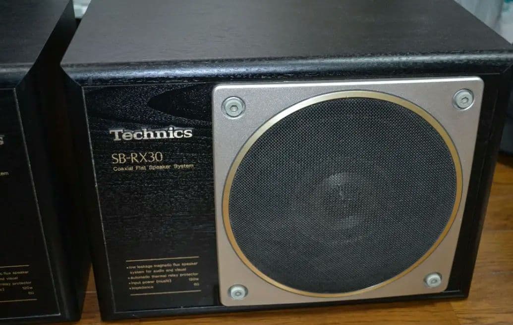 【美品】テクニクス SB-RX30（動作確認済みですが訳アリ）