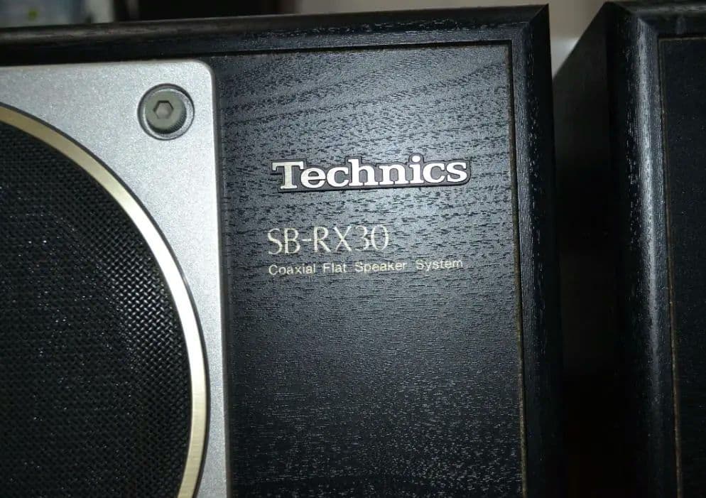 【美品】テクニクス SB-RX30（動作確認済みですが訳アリ）