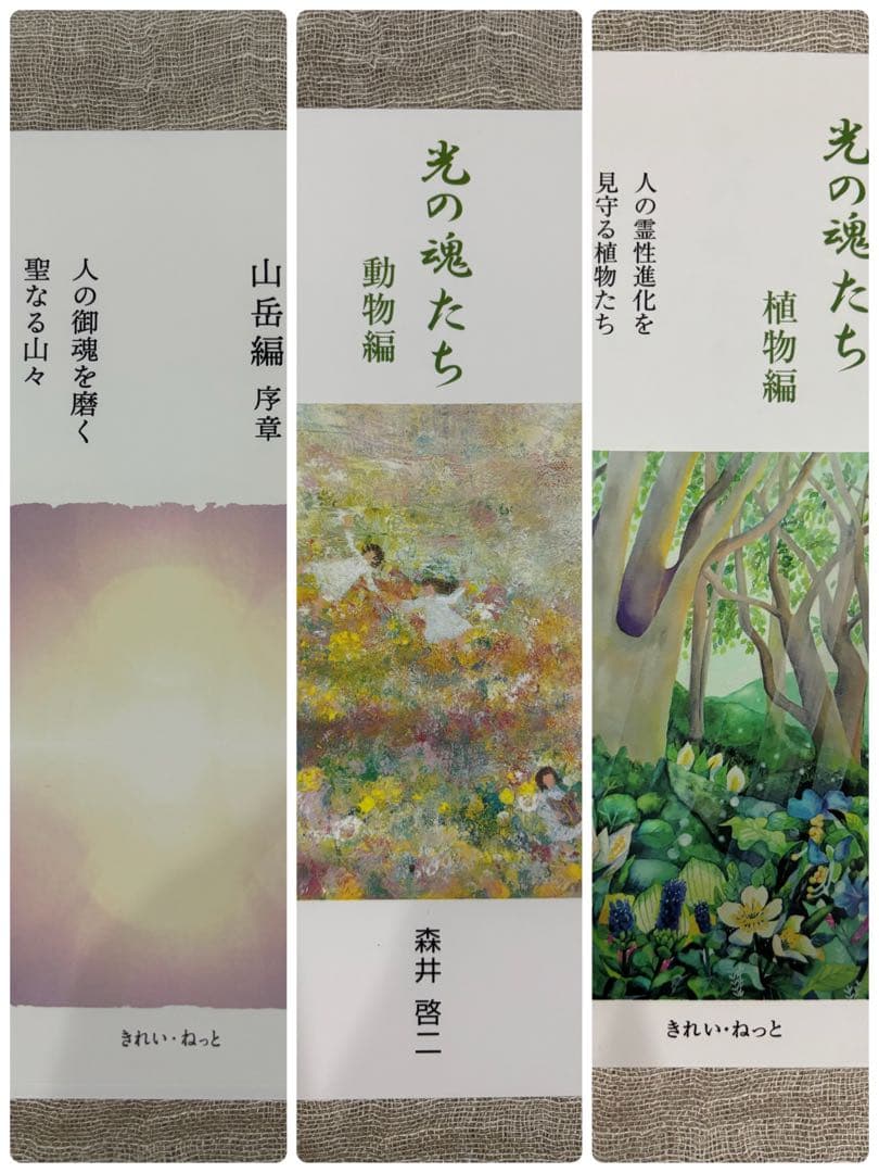 光の魂たち 山岳編動物編植物編３冊セット 光の魂たち 植物編 人の霊性進化を見守る植物たち | 森井啓二 |本