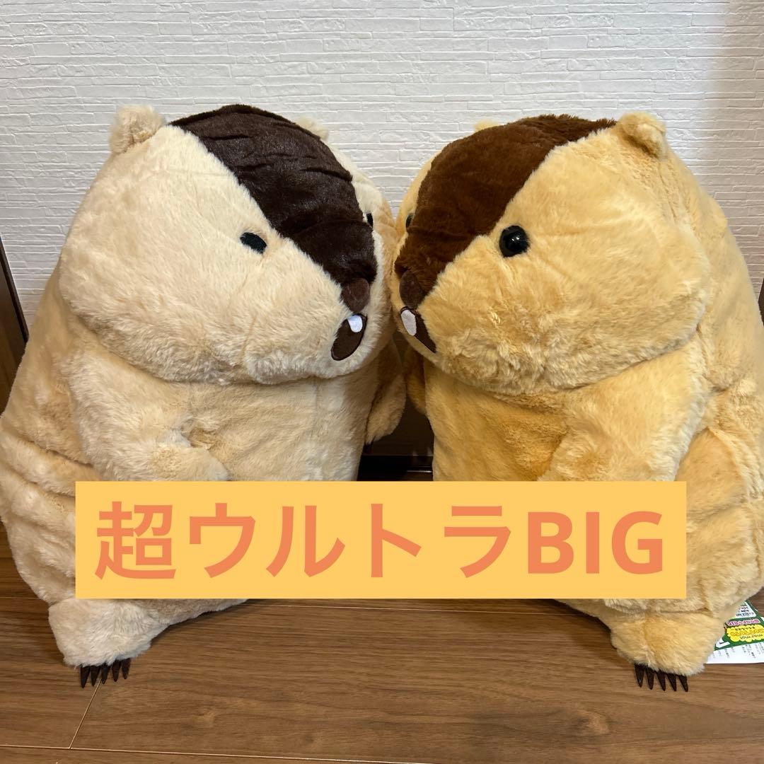 マーモットもっとっと 超ウルトラBIG ぬいぐるみ 2種セット【限定
