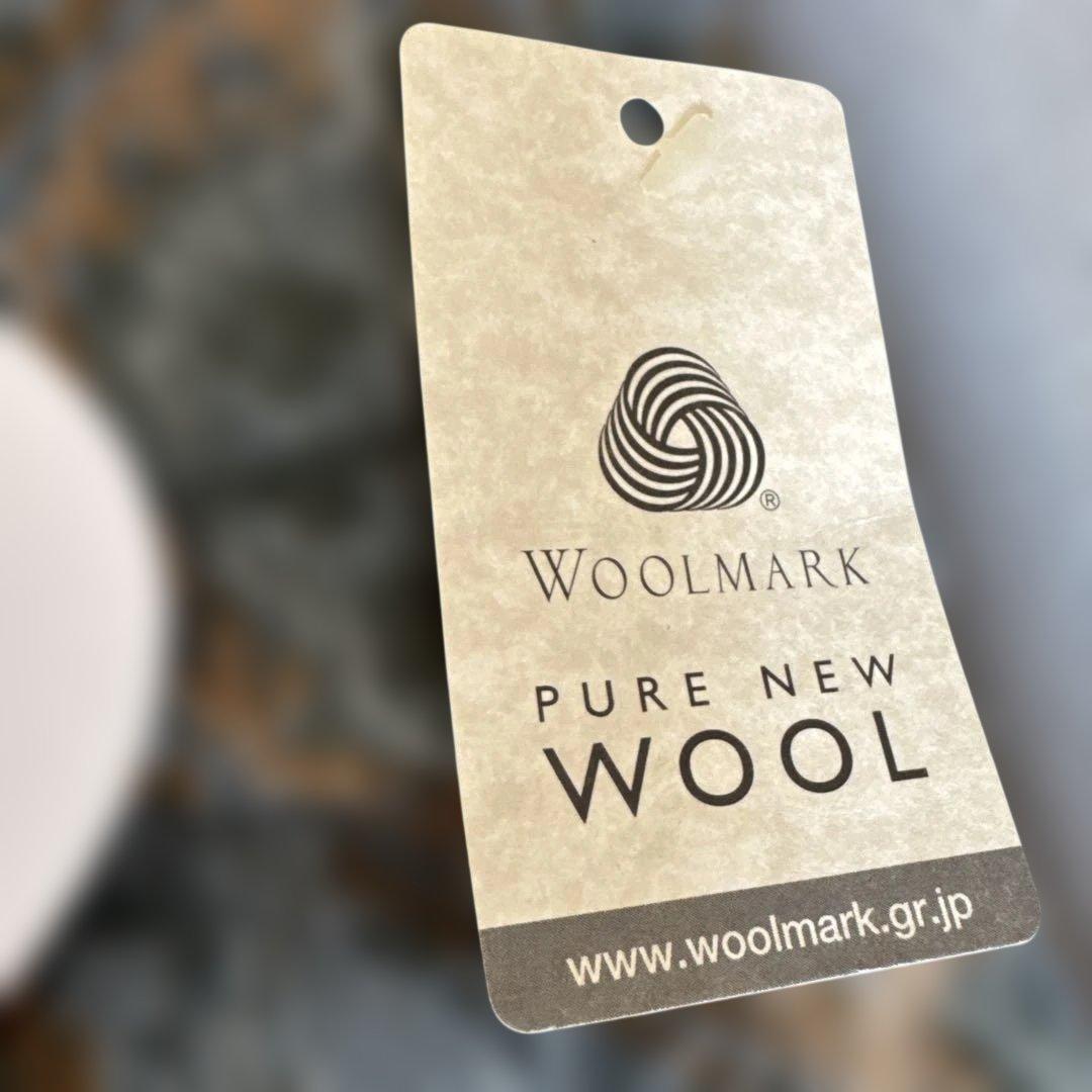 新品タグ付】エトロ ウールタオルケット 西川産業 ペイズリー柄