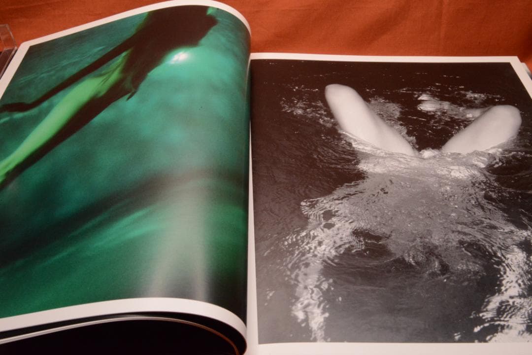 【Mermaids：Michael Dweck】 ★★大幅に値下げしました