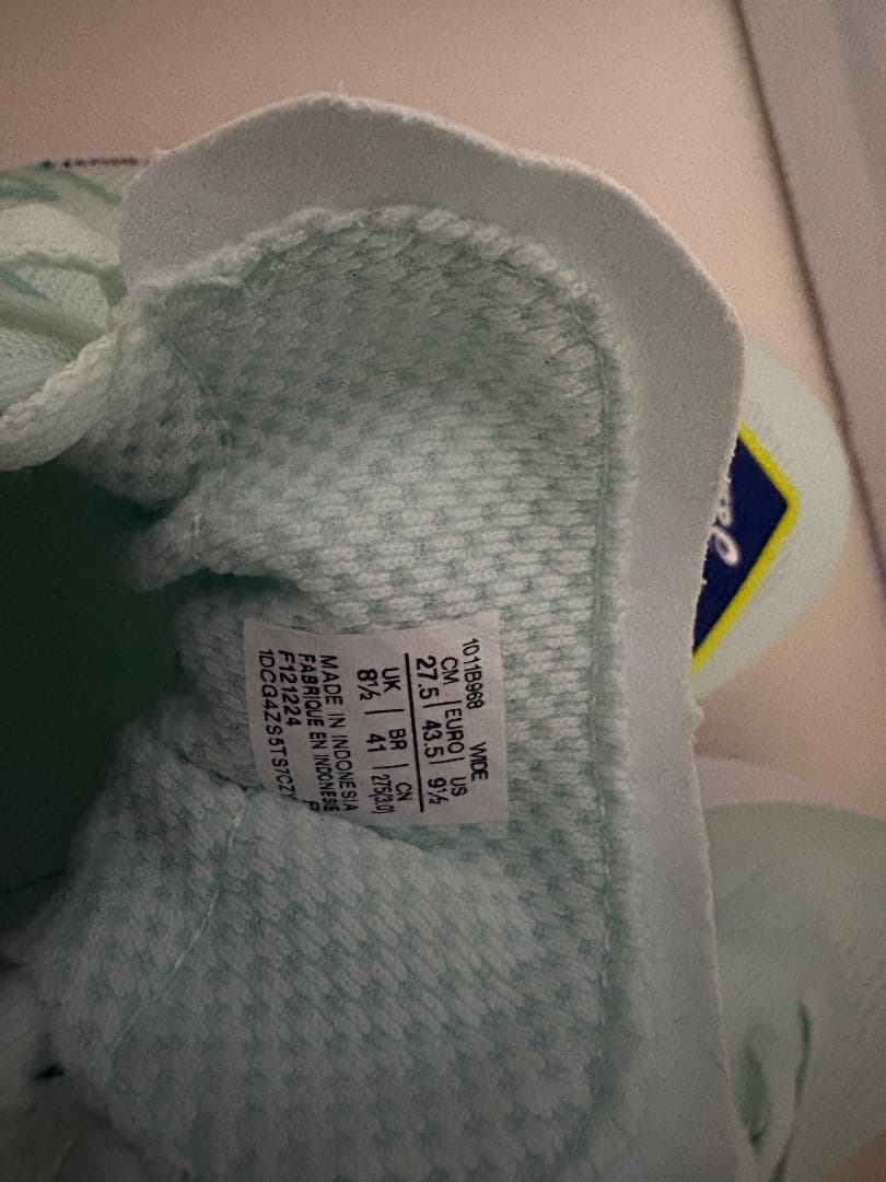 新品 ASICS EvorideSpeed3 エボライドスピード3 27.5W