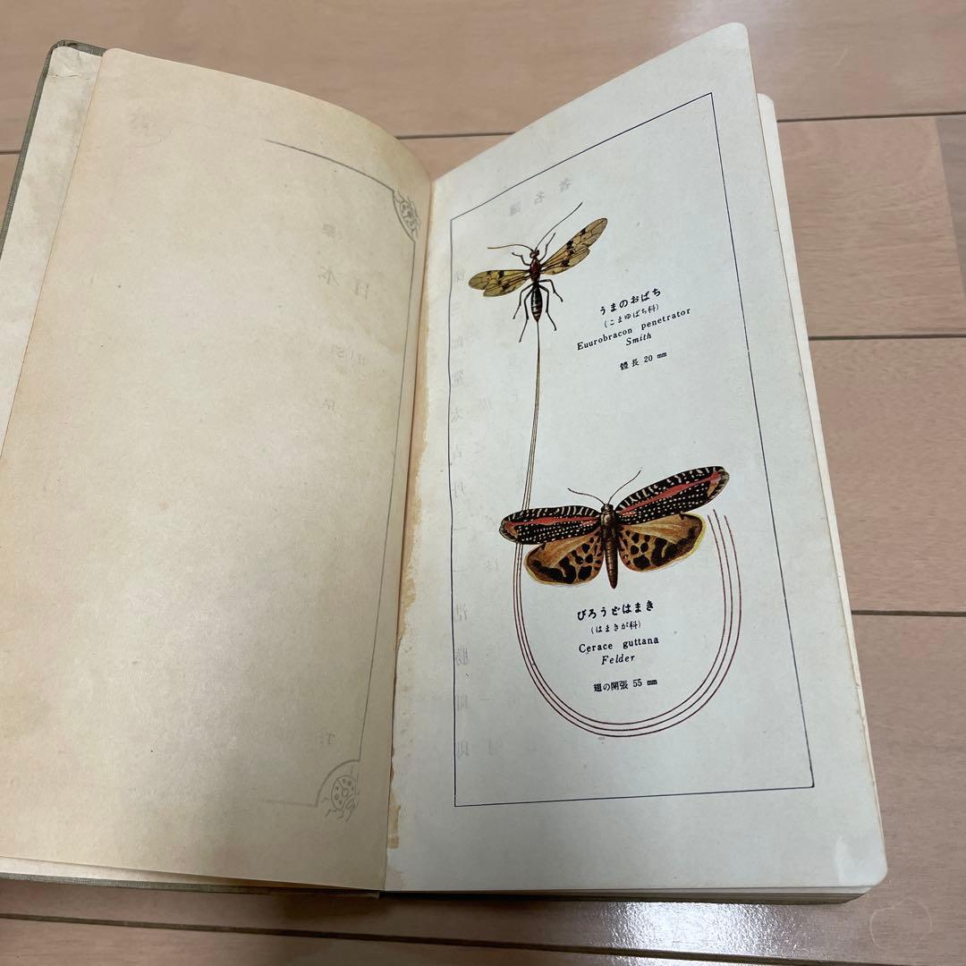 希少】学生版 日本昆虫図鑑 昭和26年3月 - メルカリ
