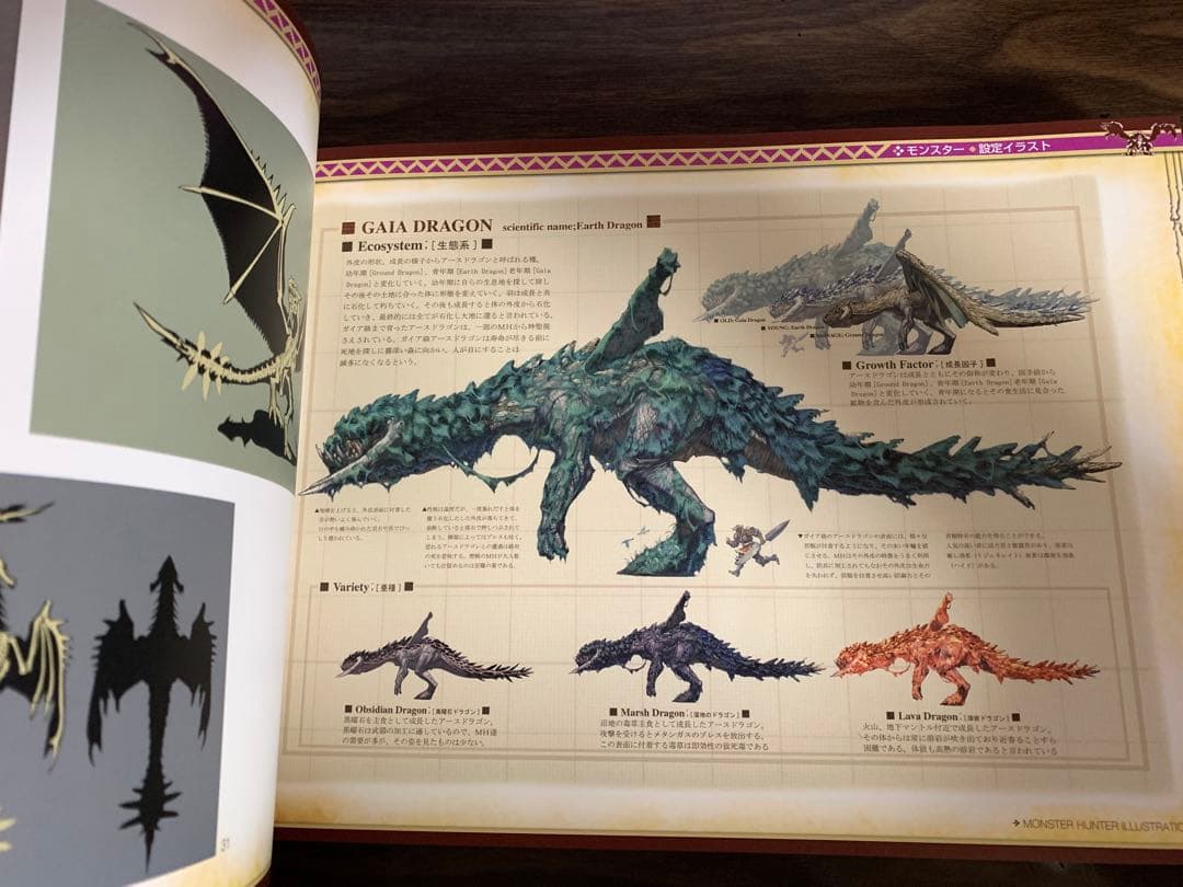 初版/帯・付属品あり】モンスターハンター イラストレーションズ