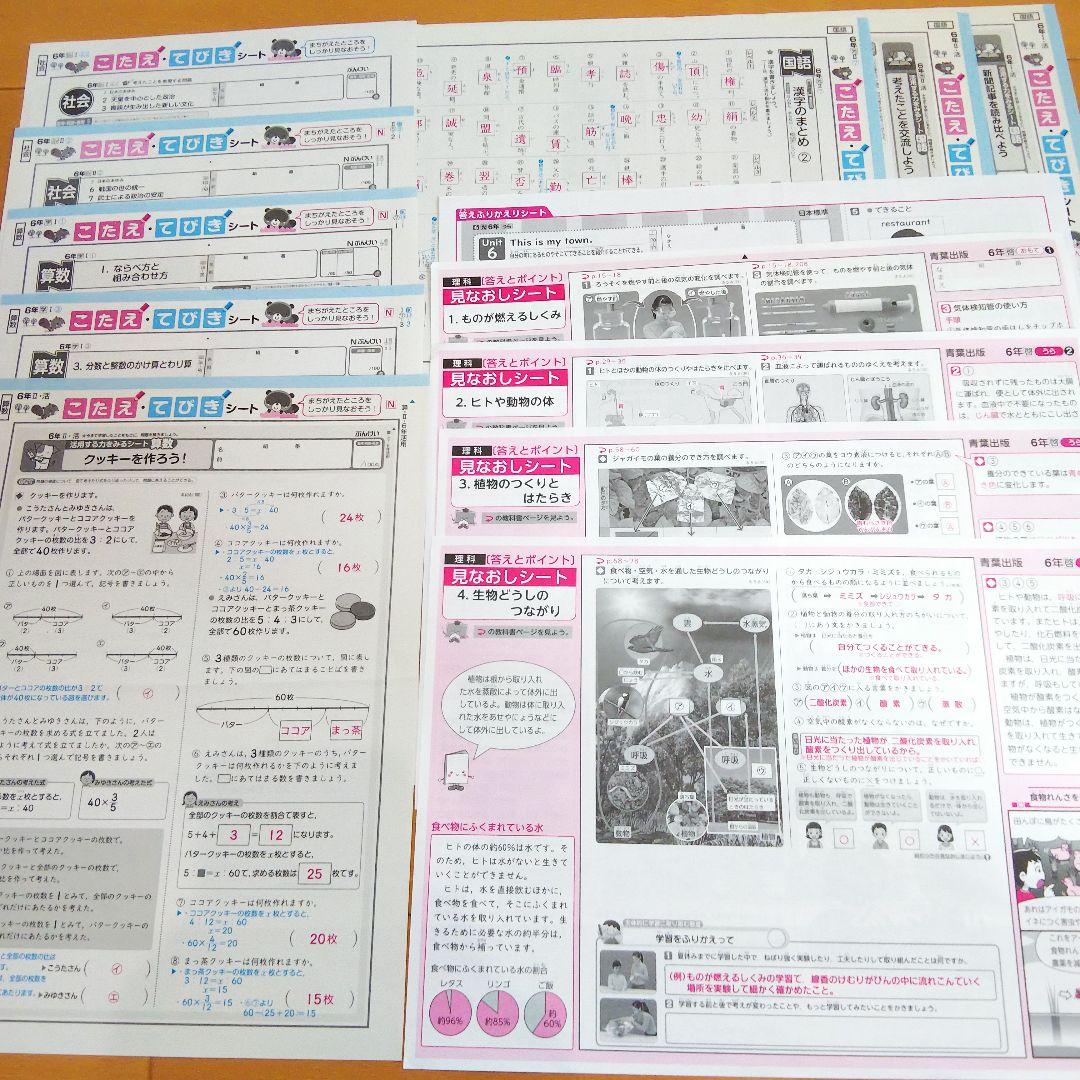 小学6年 国語 算数 社会 英語 カラーテスト こたえシート 理科見直し