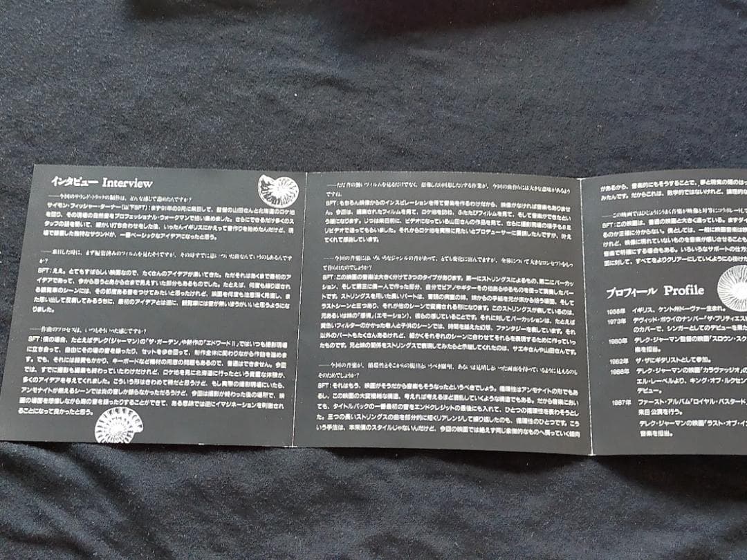 アンモナイトのささやきを聞いた サイモン・フィッシャー・ターナー