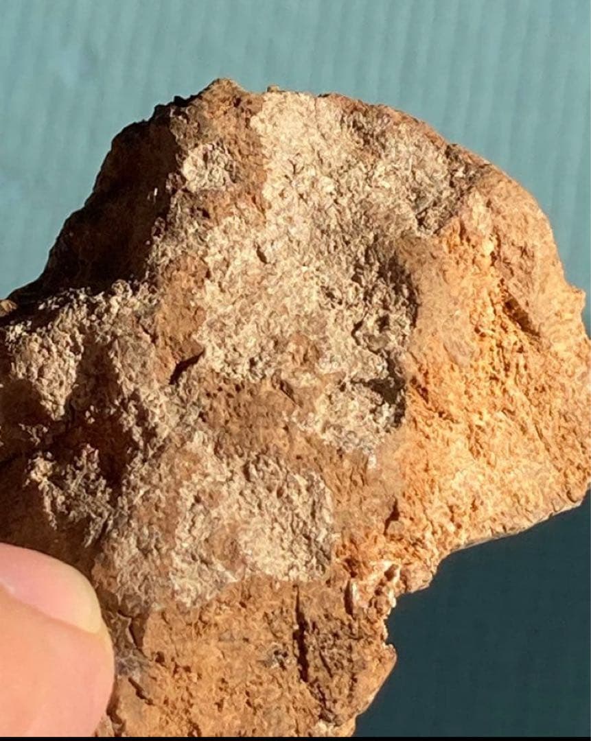 シャム　シャム沈香　沈香　天然沈香　香木 3.58g