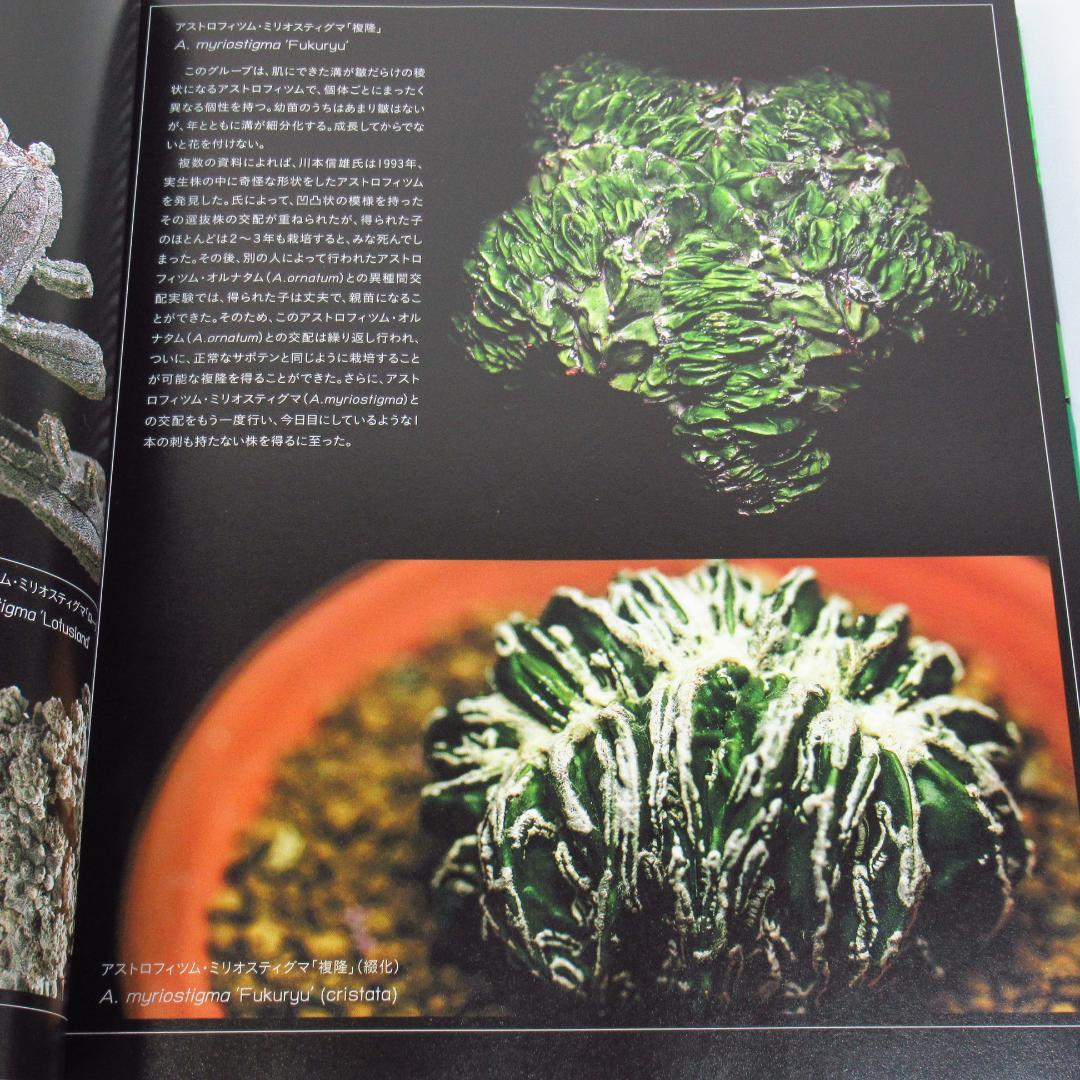 ひろ様専用 サボテン全書 All about CACTUS 【貴重本 初版】 - メルカリ