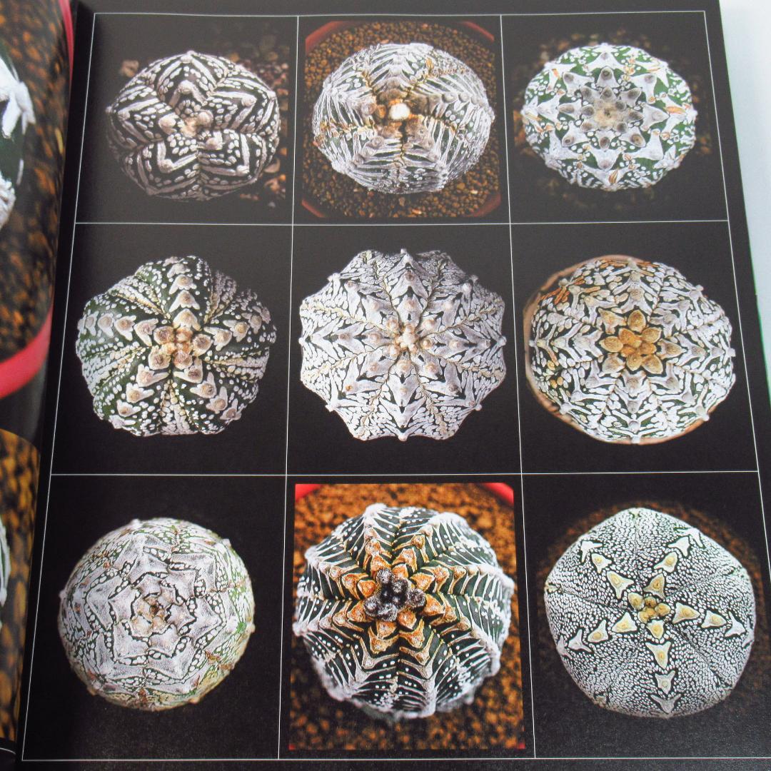 ひろ様専用 サボテン全書 All about CACTUS 【貴重本 初版】 - メルカリ