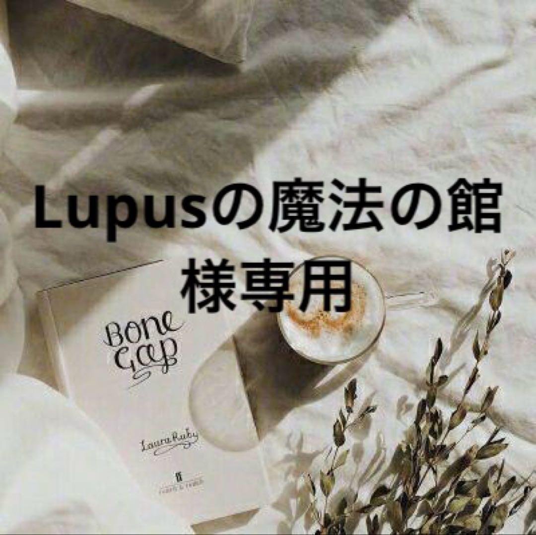 Lupusの魔法の館　プロフ必読　0523 ふたごの魔法使い」シリーズを2冊買うと】抽選で20名に、オリジナル