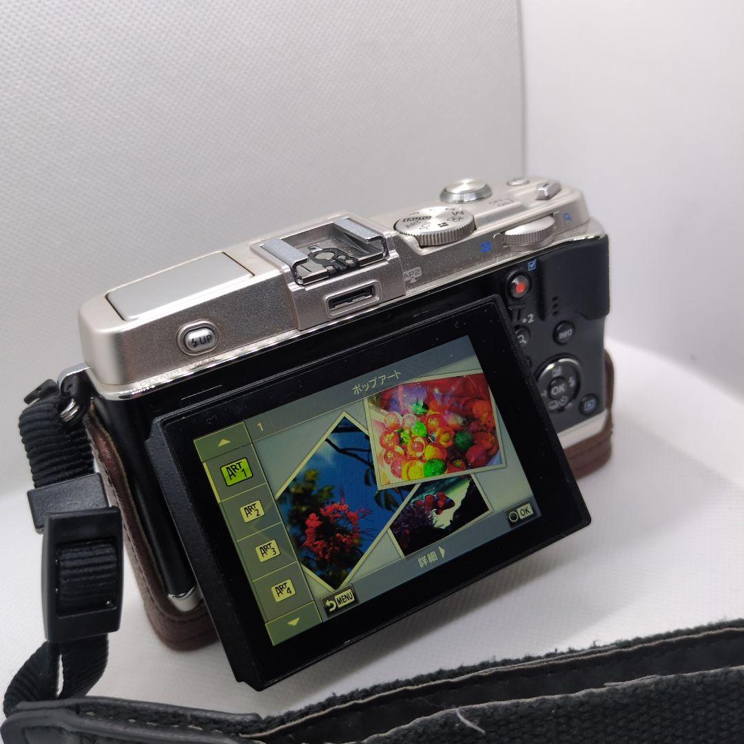 OLYMPUS PEN E-P5 シルバー レザーケース付き - メルカリ