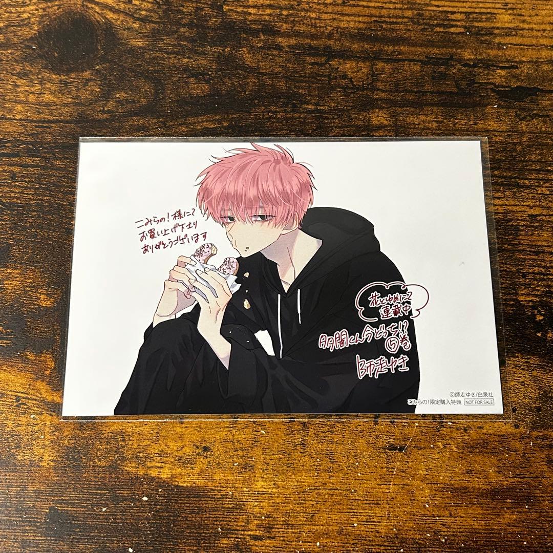 多聞くん今どっち！？ 5巻 こみらの 特典 ポストカード 福原多聞 ジメ